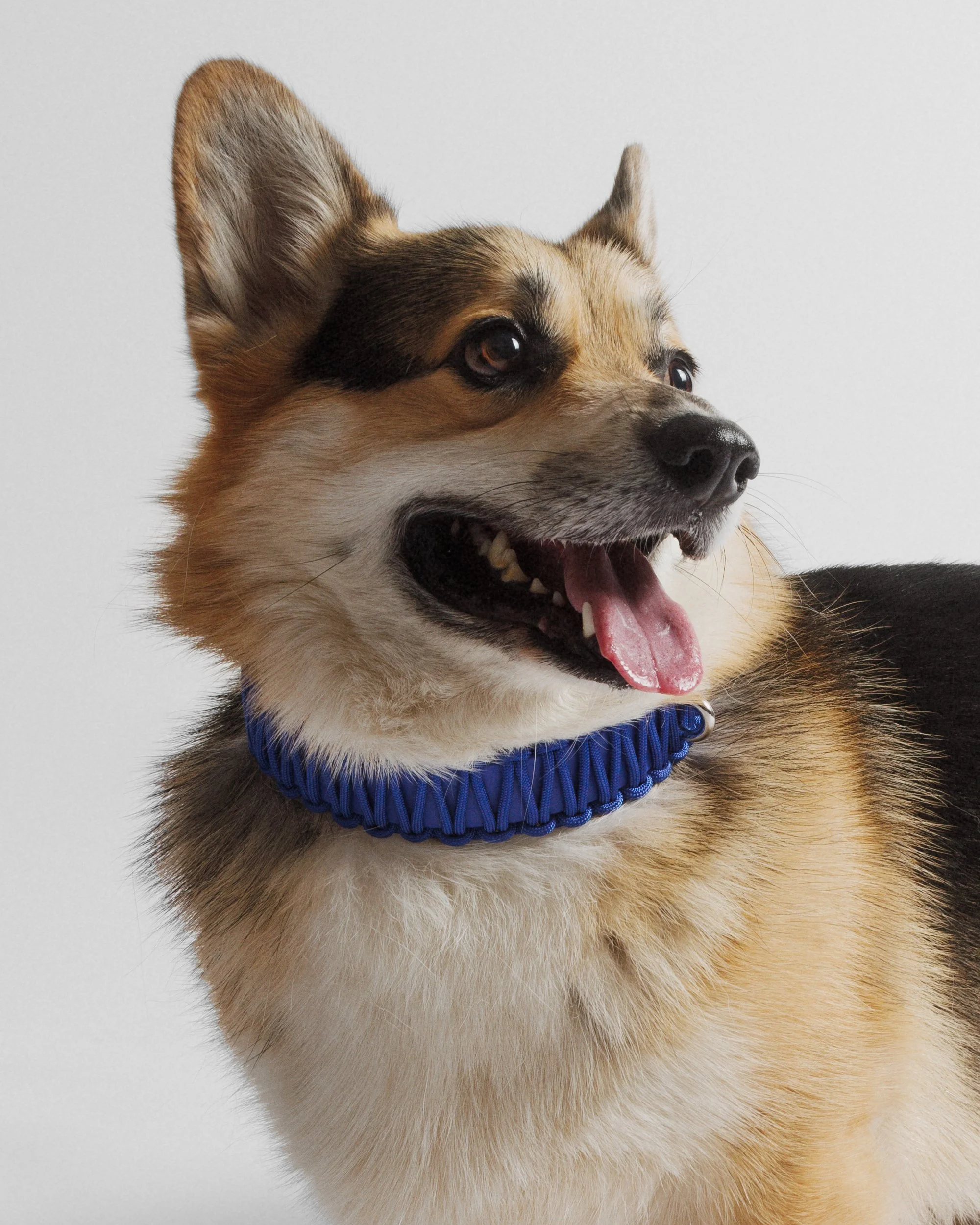 GALAN COLLAR in Baby Blue — VALKA KUKUR Modern sophsticated